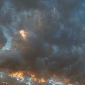 Meet your Posher, Althea